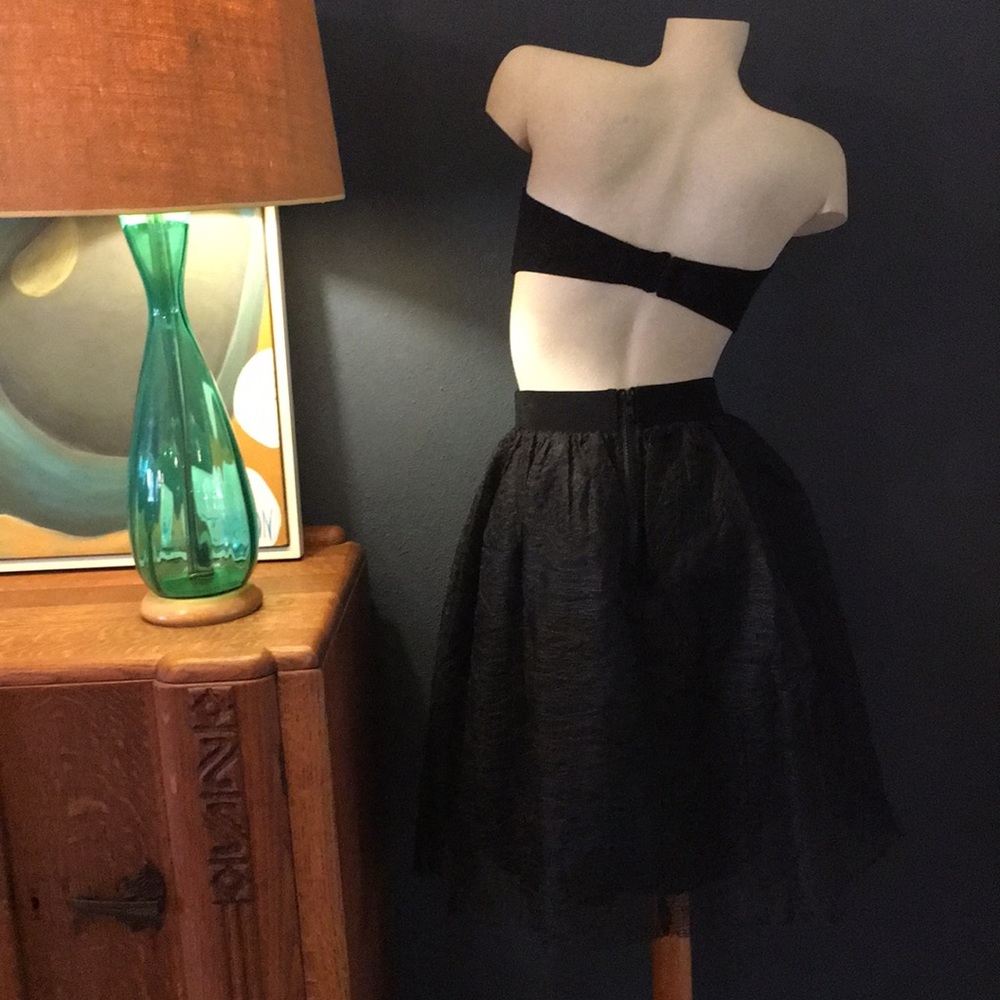 Mesh Layered Full Skirt - Picture 5 of 8